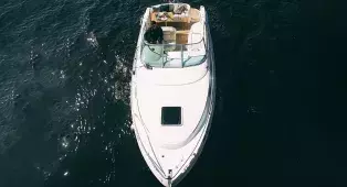 Прогулка на катере Chaparral 240 с капитаном по рекам и каналам СПб